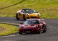 The Britannia – Lotus