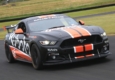 Mustang Edge